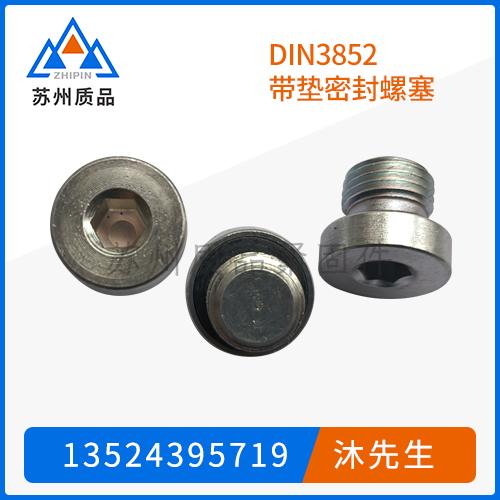 DIN3852帶墊密封螺塞