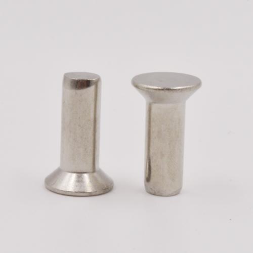 Stainless Steel Countersunk Solid Rivet