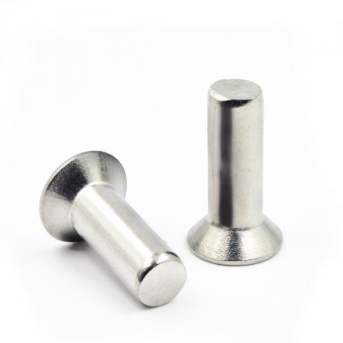 Stainless Steel Countersunk Solid Rivet