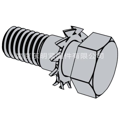 GB/T 9074.16 - 1988 六角頭螺栓和外鋸齒鎖緊墊圈組合件