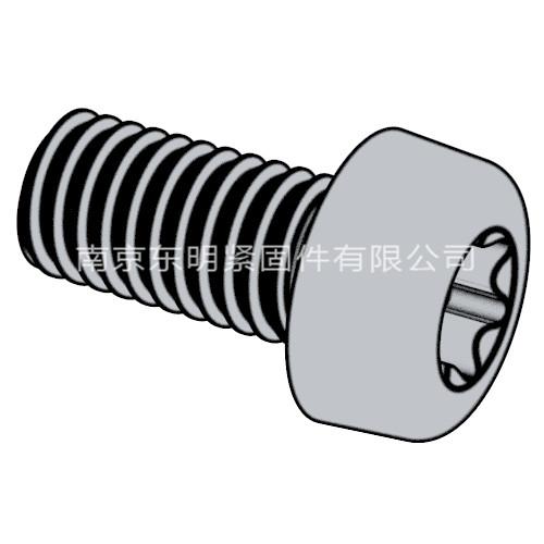 ISO 14583 - 2011 梅花槽盤頭螺釘